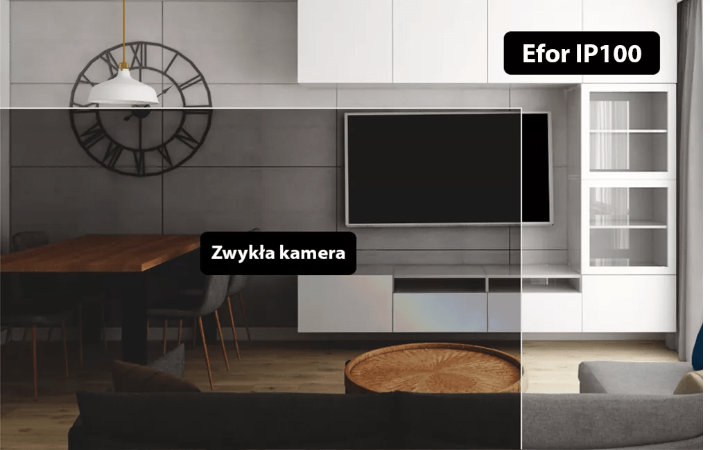 Ineotronic Efor IP100 11 Ineotronic Ineotronic Efor IP100