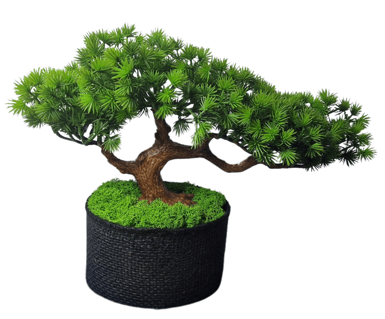 1c10b485533bce822c7f6af25f0c4488 Ineotronic Ukryta Kamera Drzewko Bonsai 4G FullHD WIFI/4G